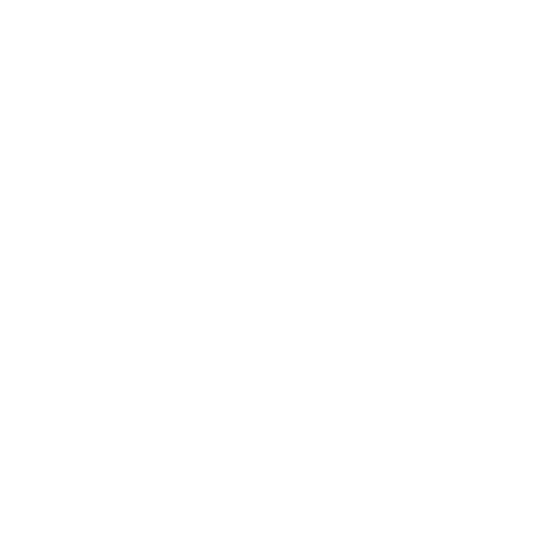 Maxius Logo