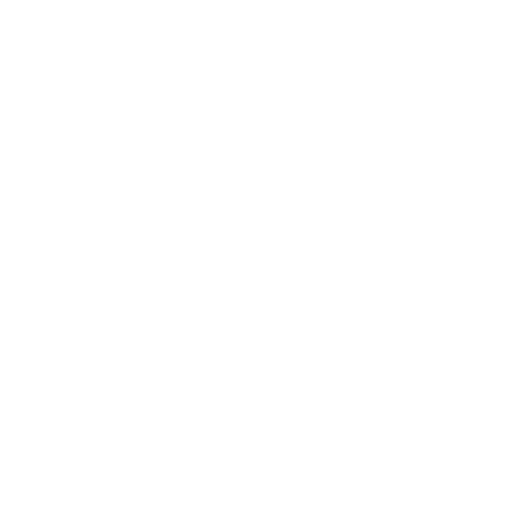 X300 Logo